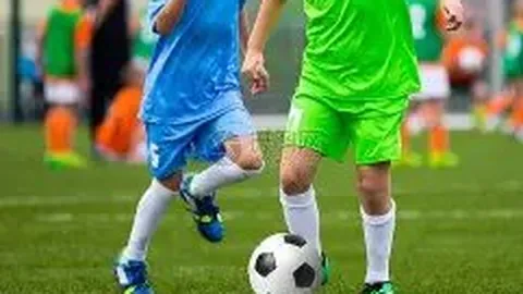 杏彩体育app最新版下载 资讯 101052 lp6