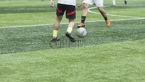 杏彩体育app最新版下载 资讯 123009 f4a